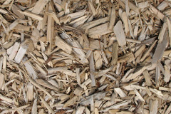biomass boilers Suffield